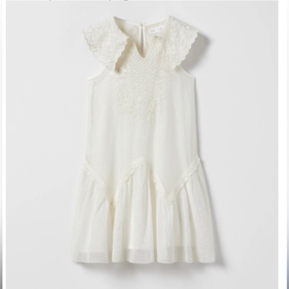 sachin and babi light blue dress Zara embroidered tulle dress size 10